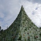 The Living Pyramid