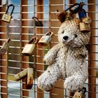 The lock of love: abandoned teddy bear 