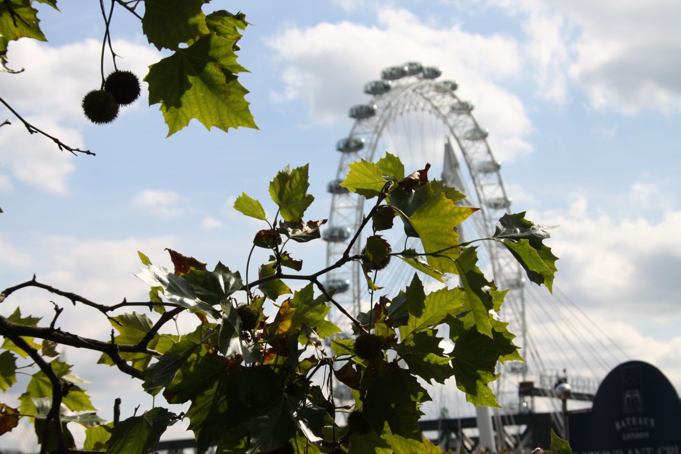 The London Eye