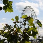 The London Eye