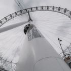 The London Eye