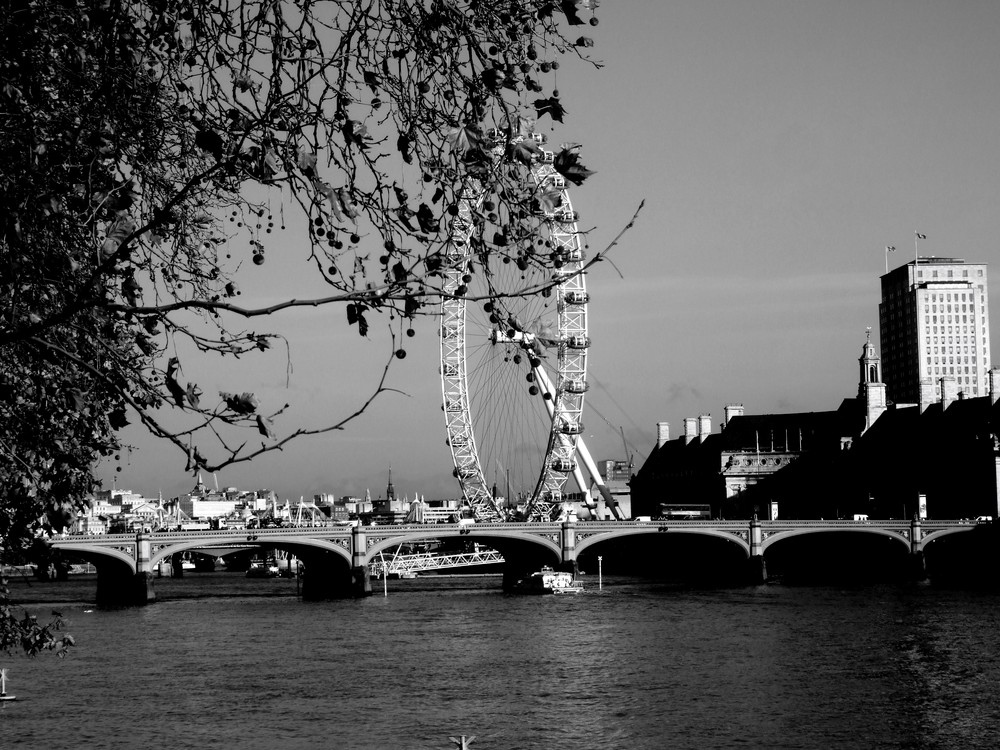 the london eye