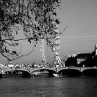 the london eye