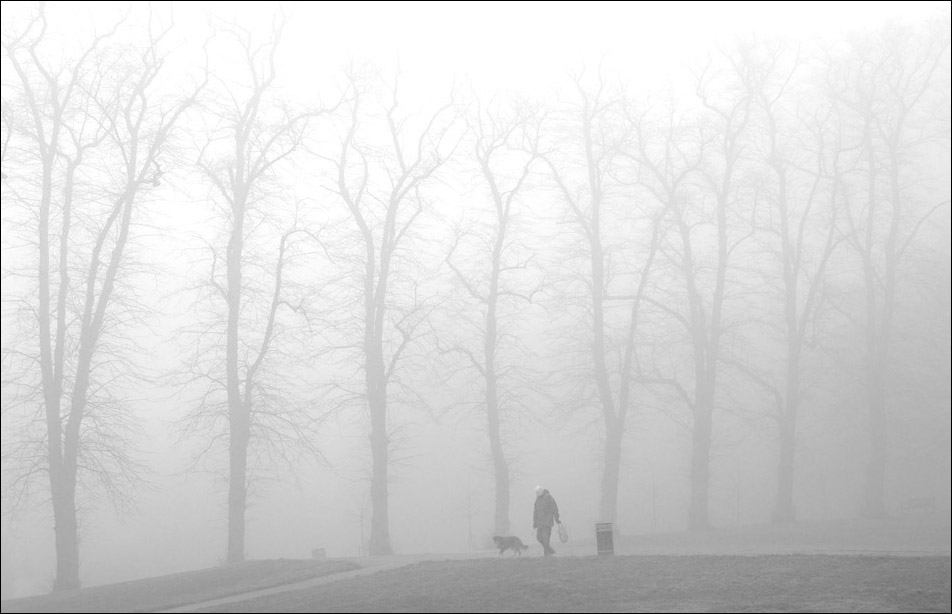 the London fog: Man and his Dog