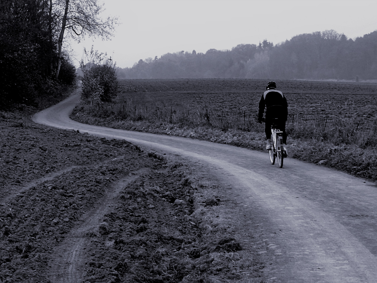 The lone cyclist
