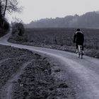 The lone cyclist