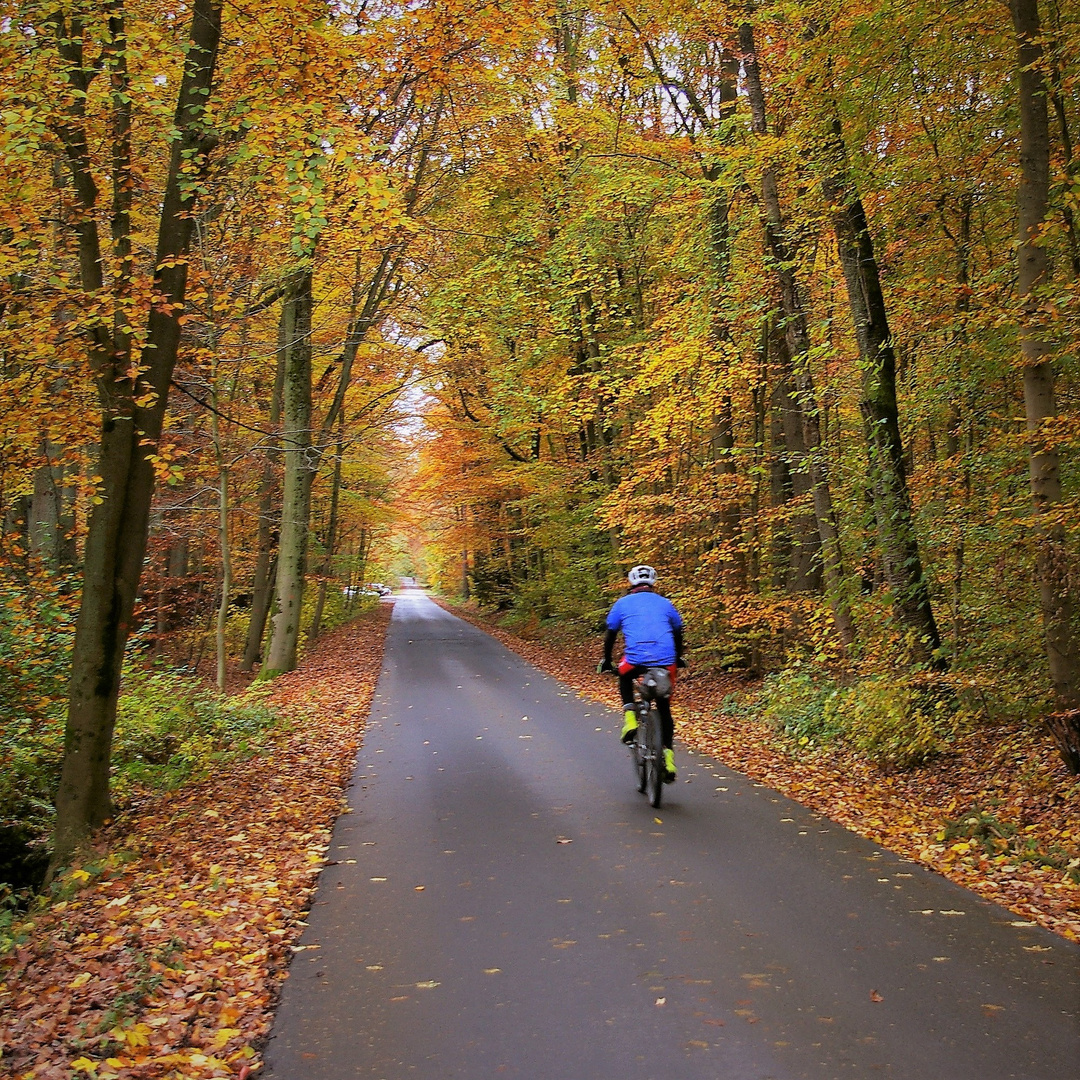 The lone cyclist