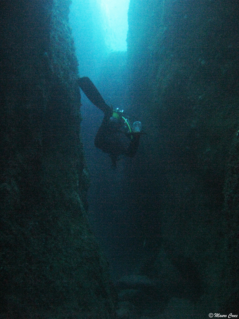 The Lone Diver