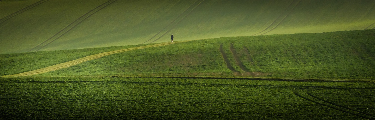 The loneliness of the long distance runner