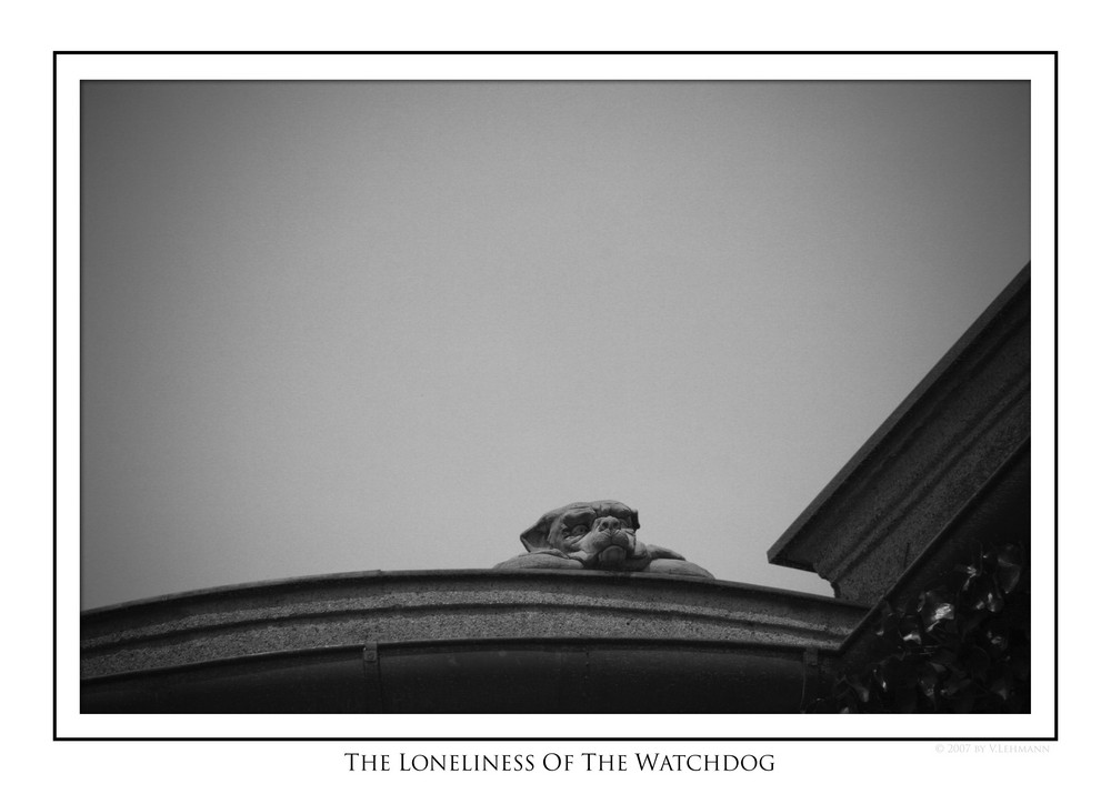 The Loneliness of the Watchdog