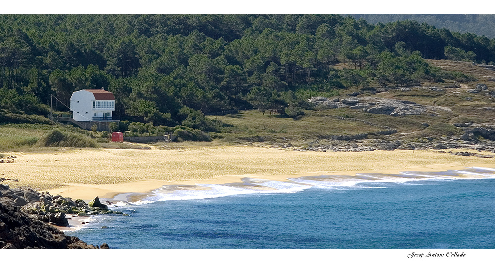 The ( lonely? ) beach