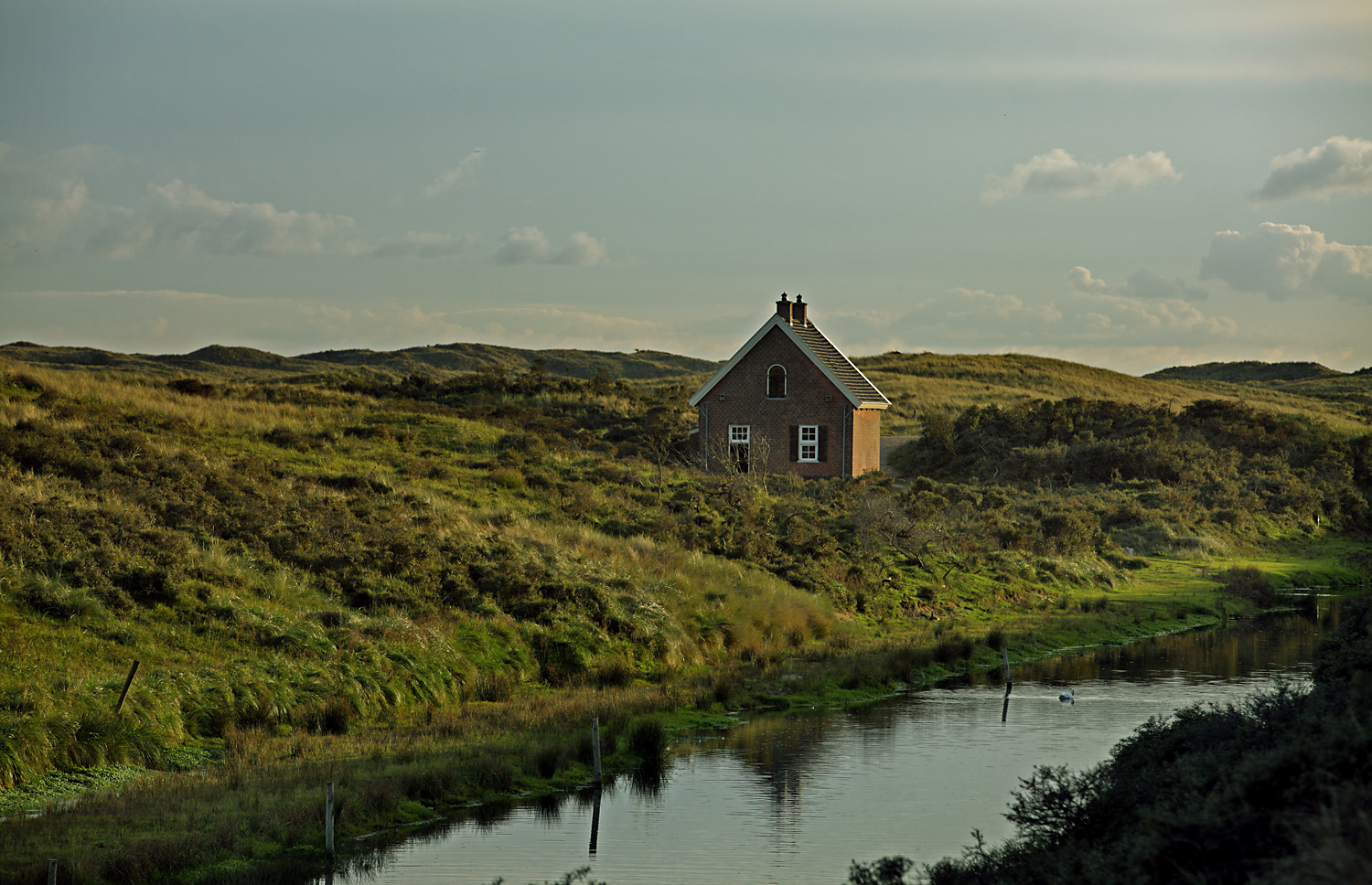 The Lonely House