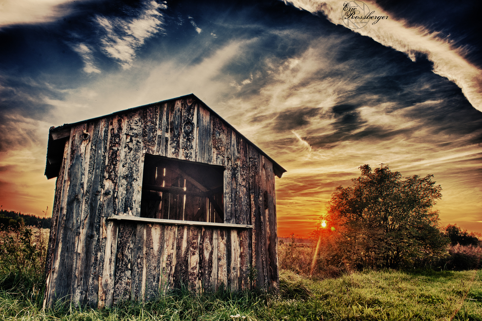 The lonely House