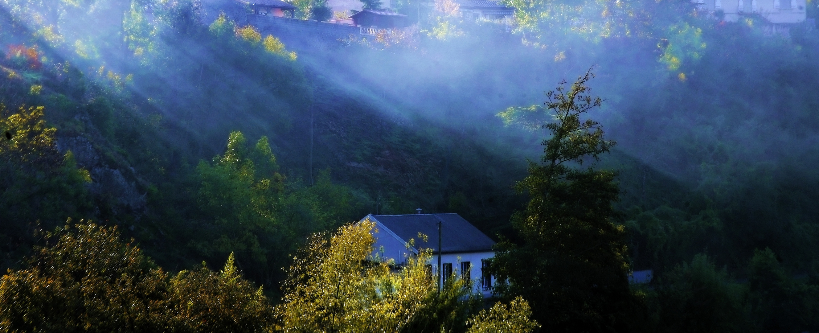 the lonely house