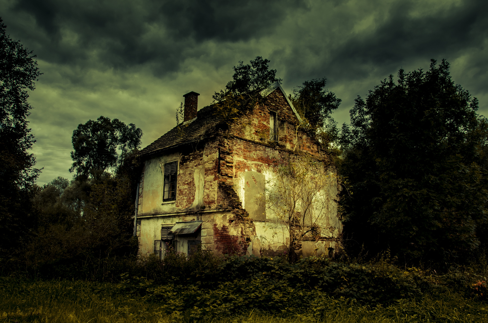 The Lonely House