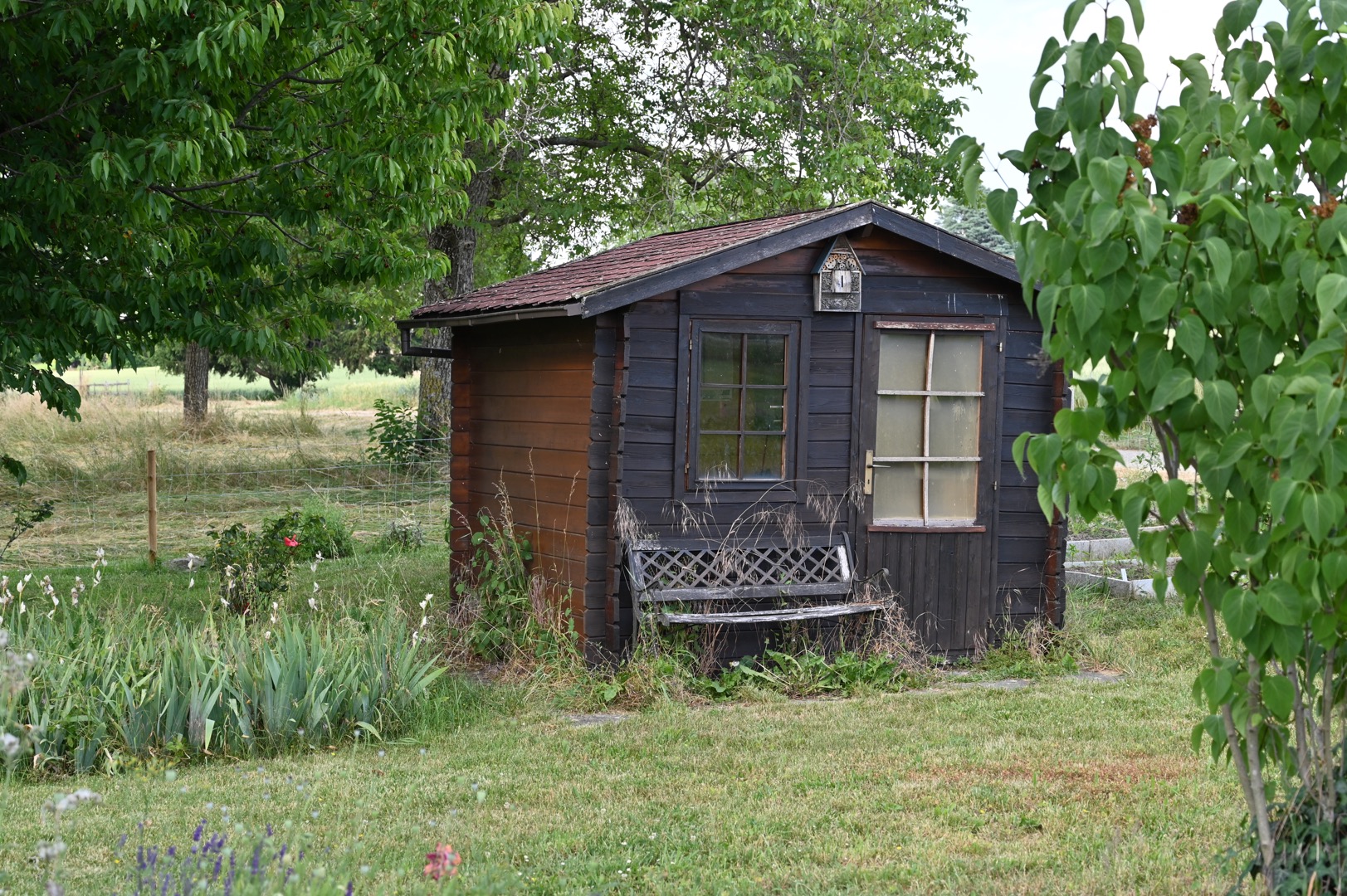 The lonely little cabin...