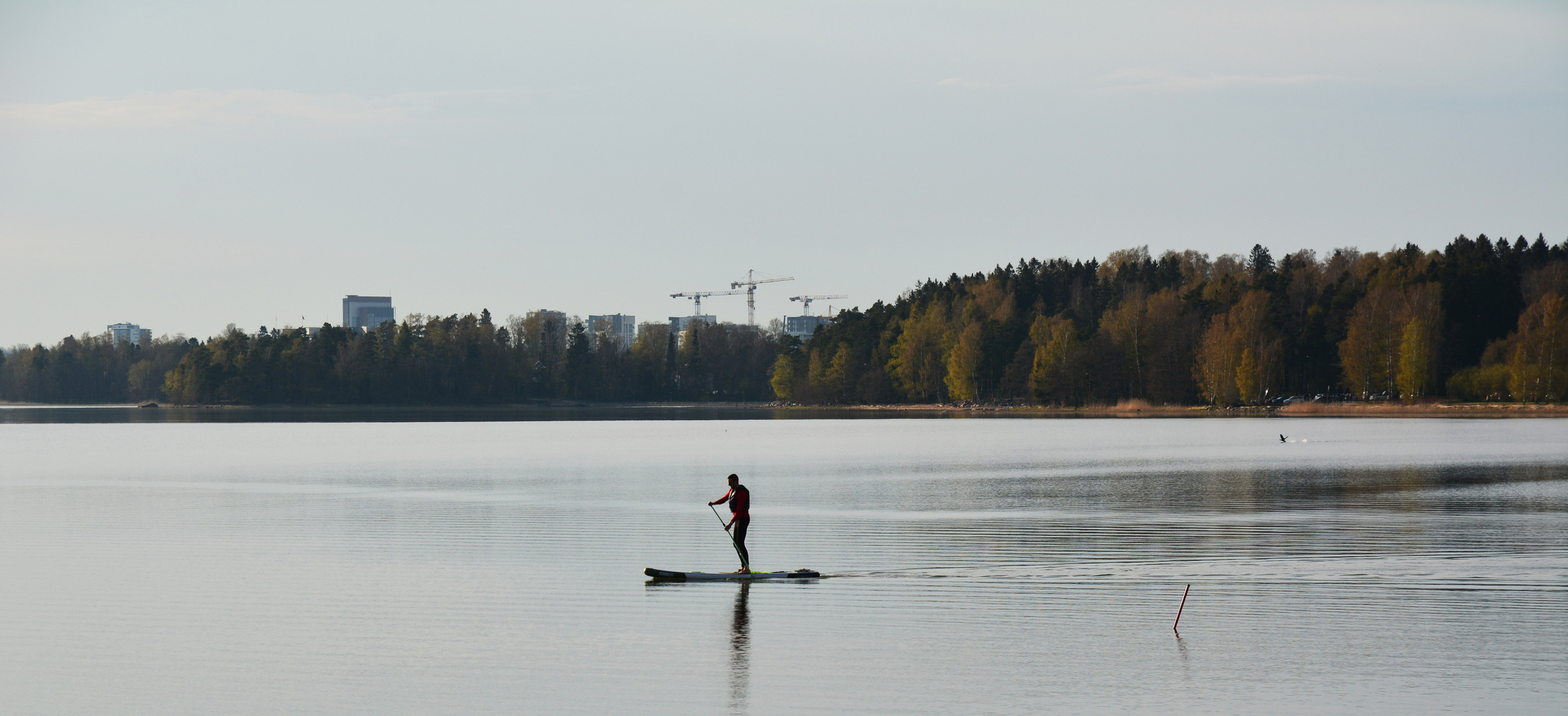 The lonely paddler