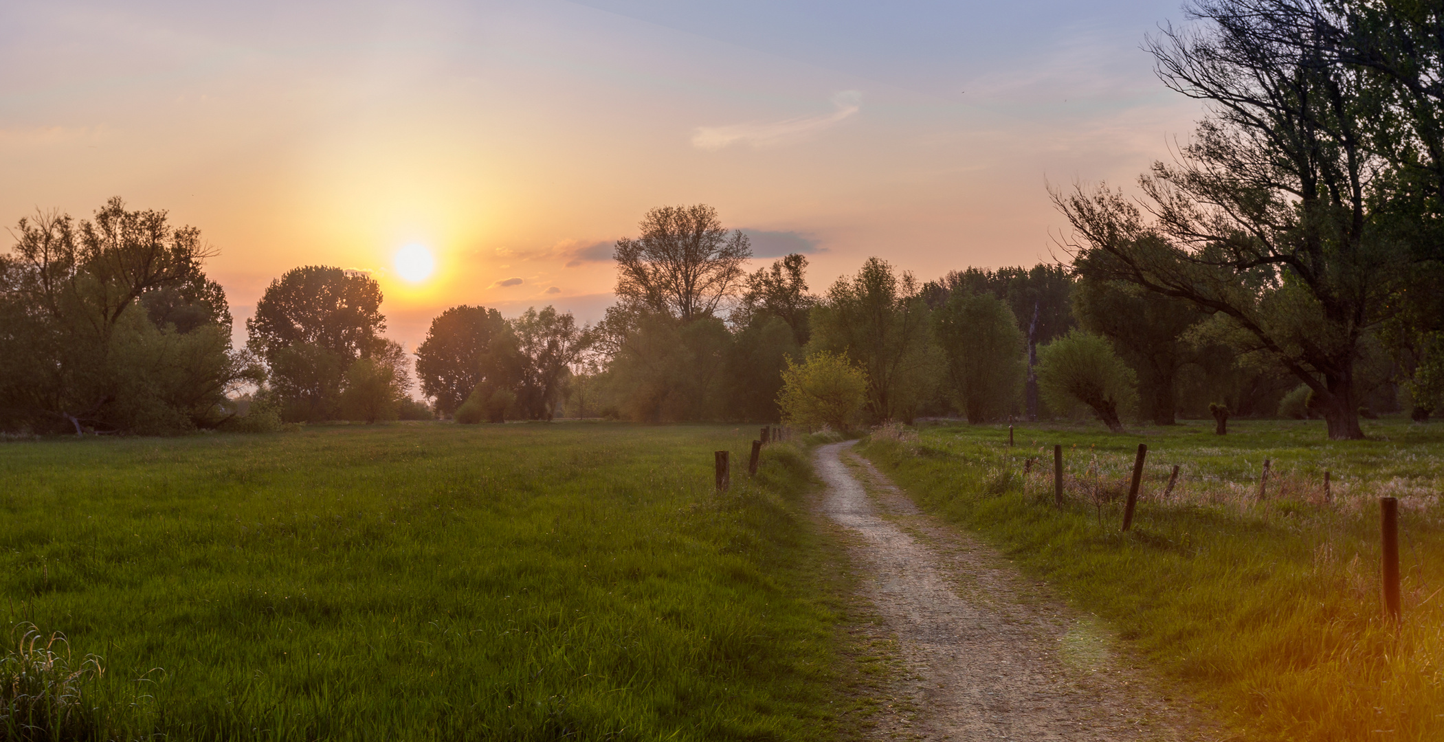 the lonely path