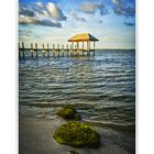 THE LONELY PIER