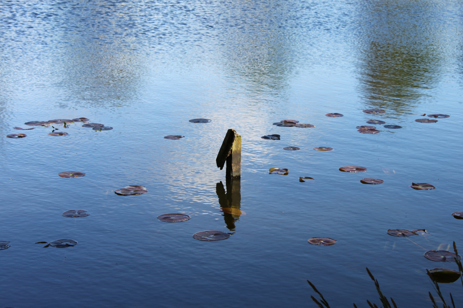 The lonely pole