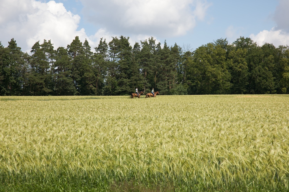 The lonely riders ...