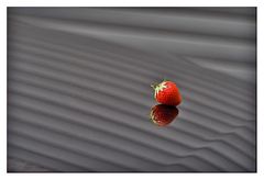 The Lonely Strawberry !!!!