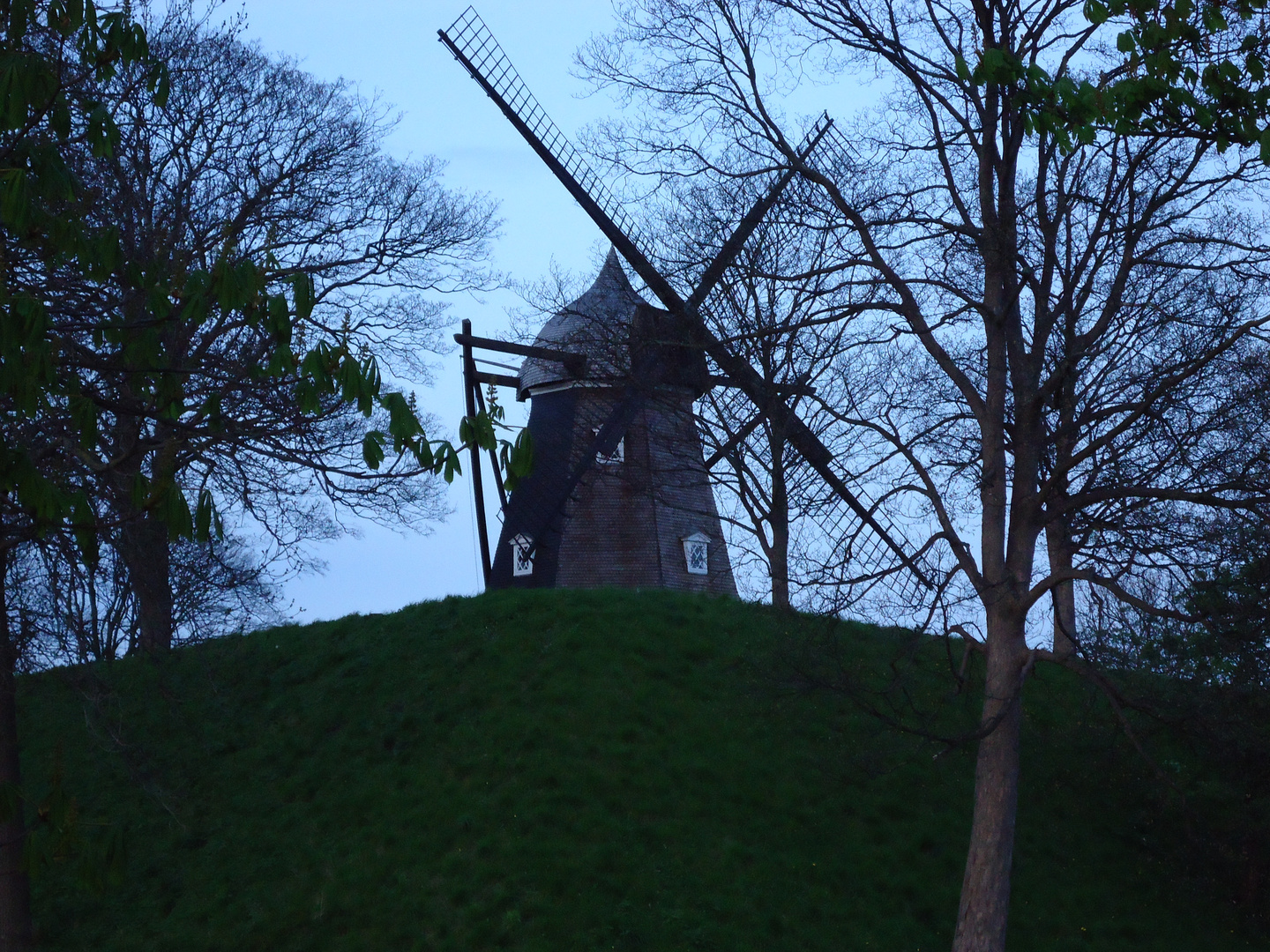 The lonely windmill