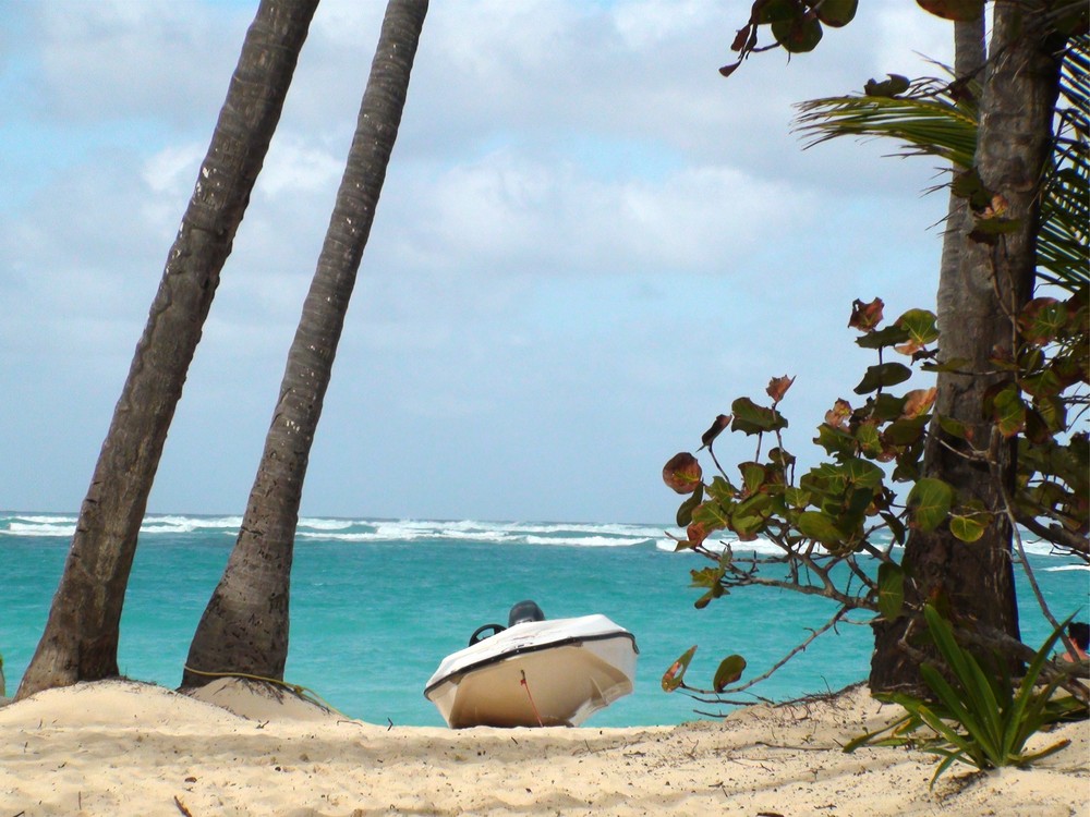 the lonesome boat