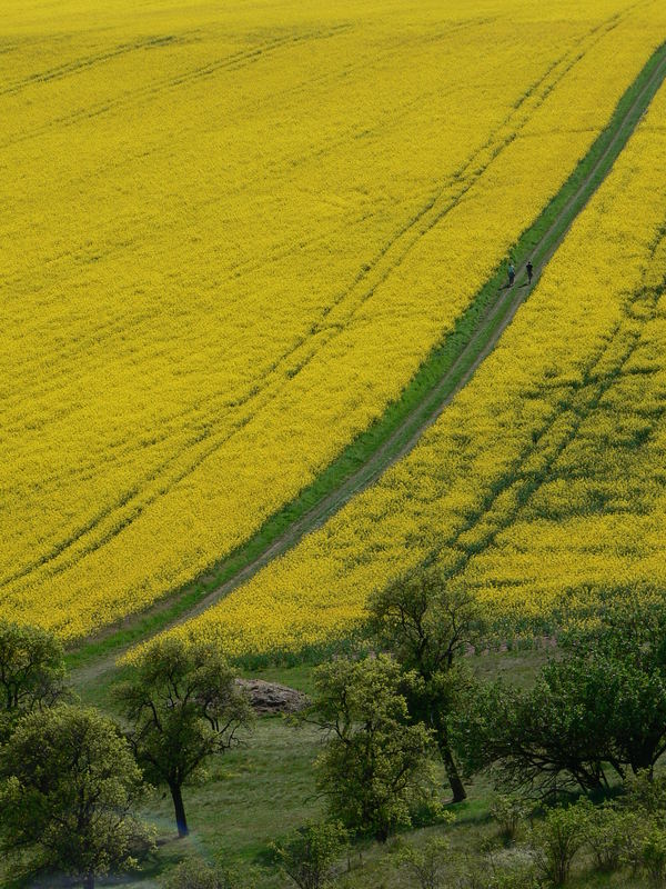 the long and winding road