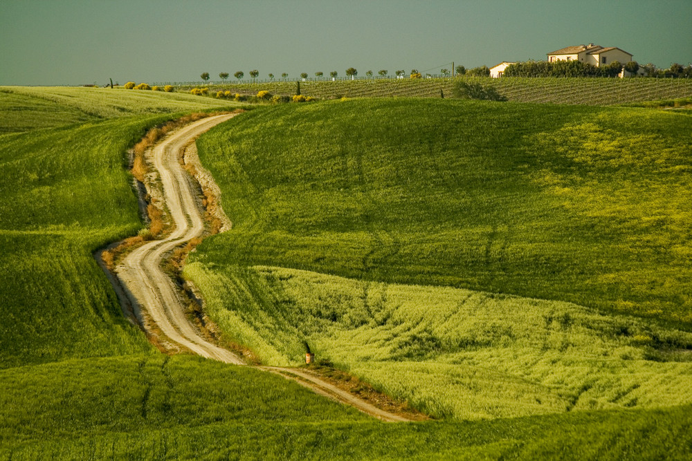 The long and winding road