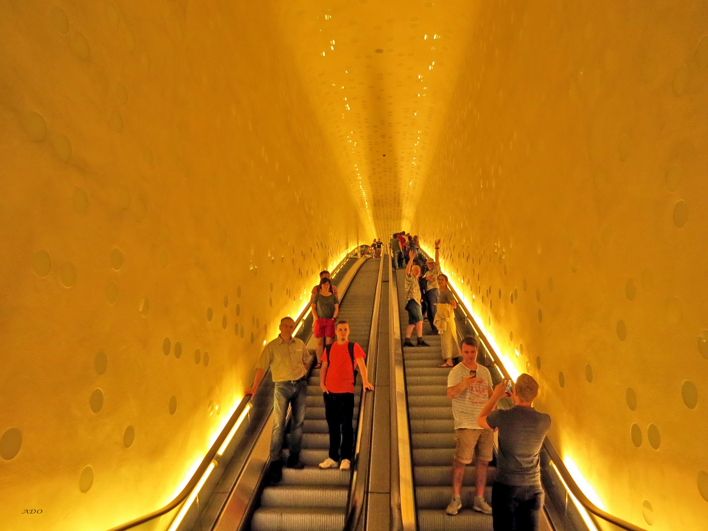 The Long Escalator