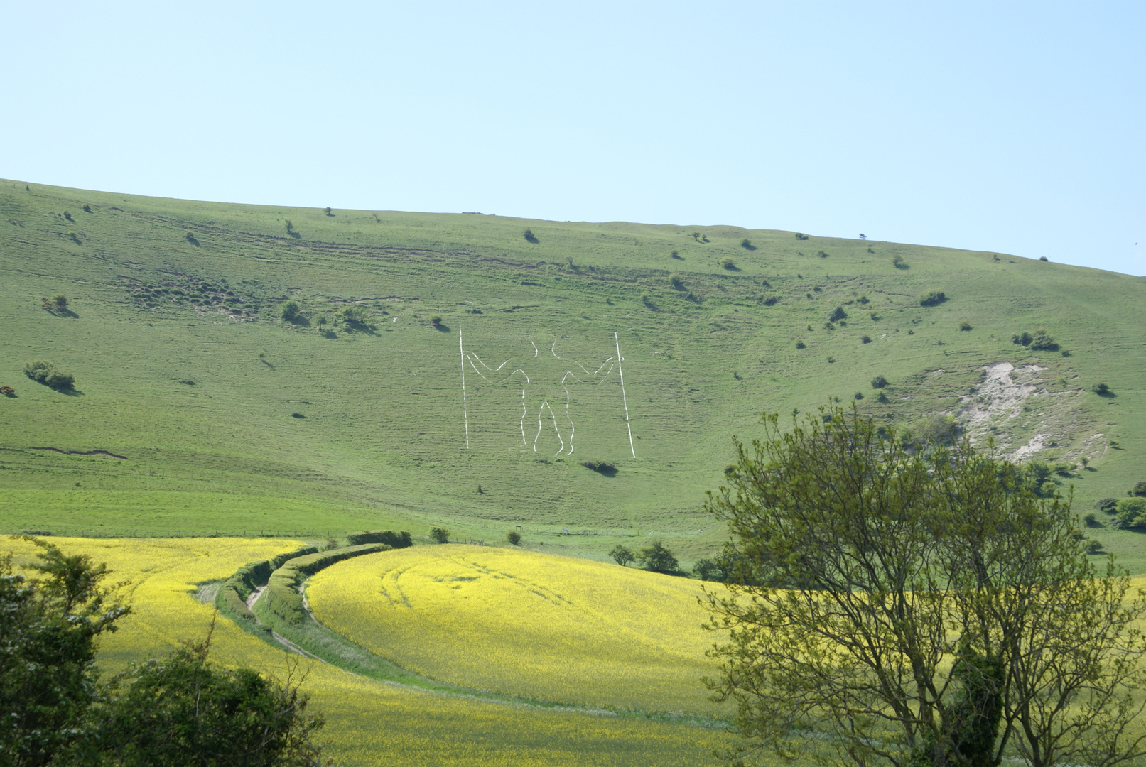 The long man of Willmington