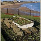 the long sands tynemouth