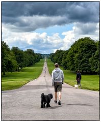 The Long Walk
