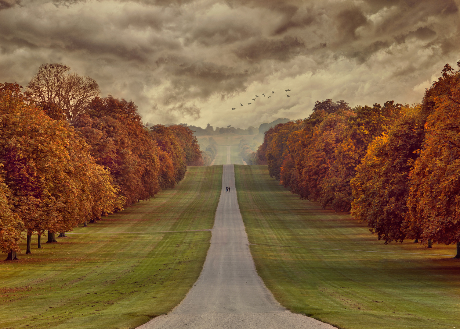 The Long Walk, Windsor Castle, UK