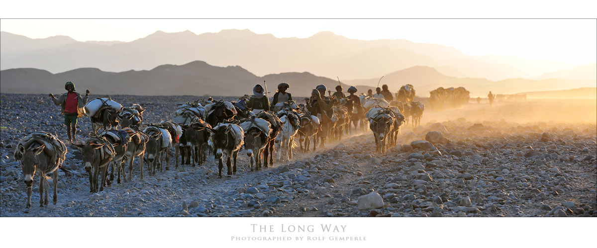 The Long Way