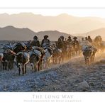 The Long Way