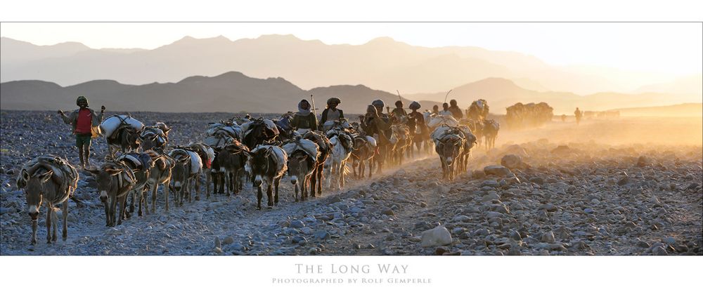 The Long Way