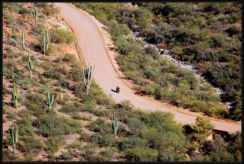 The lonley rider