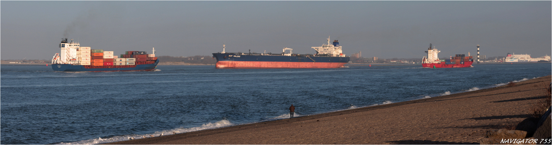 The lonly ship spotter. / Rotterdam