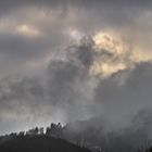 the look out - in our powerful Black Forest