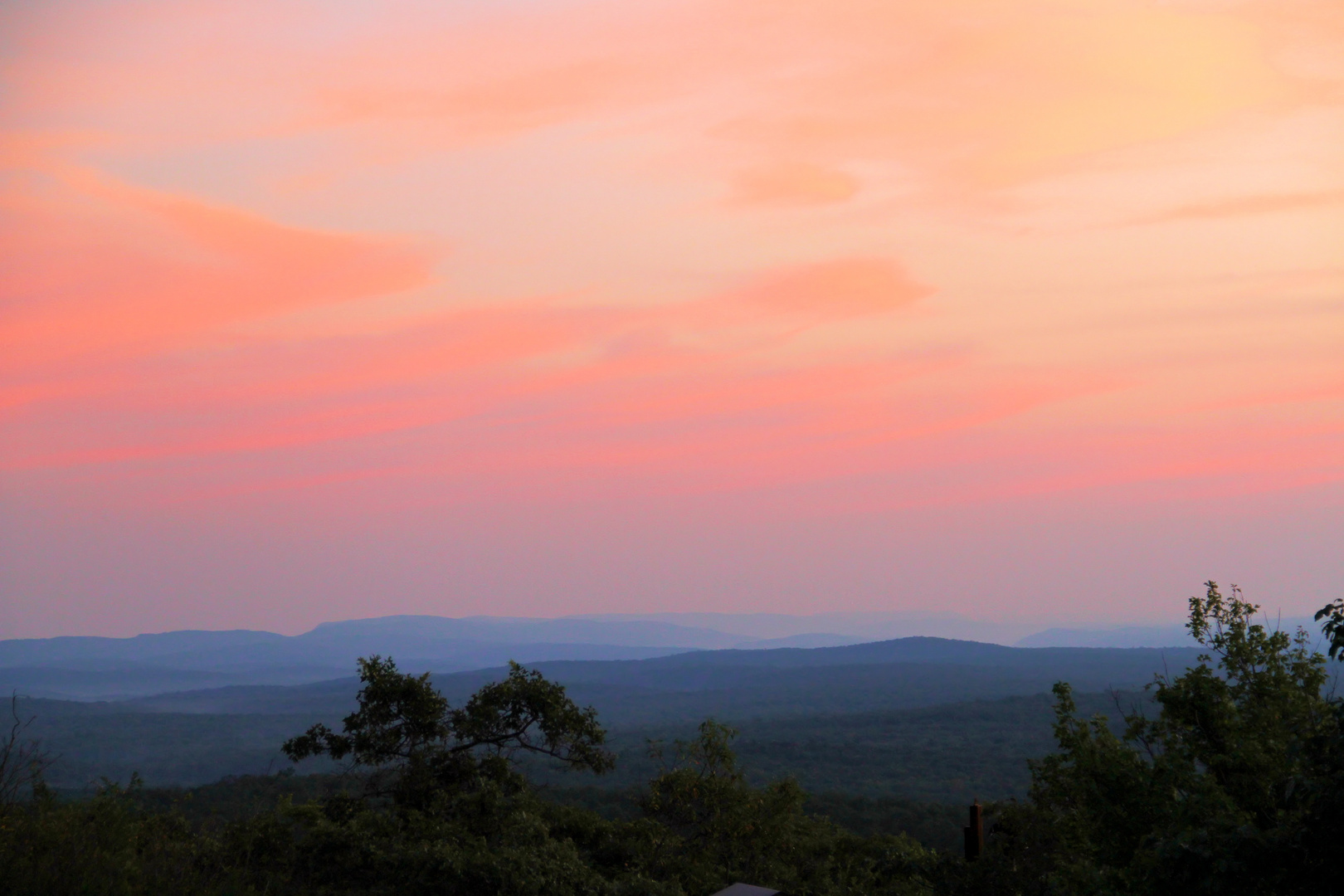 the lookout