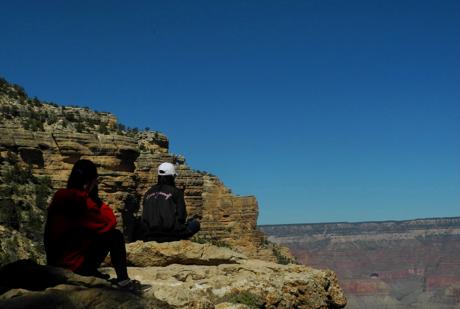 The Lookout