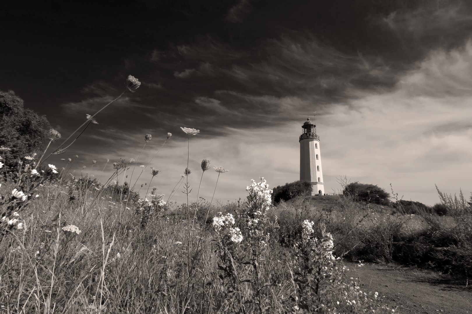 The Lookout