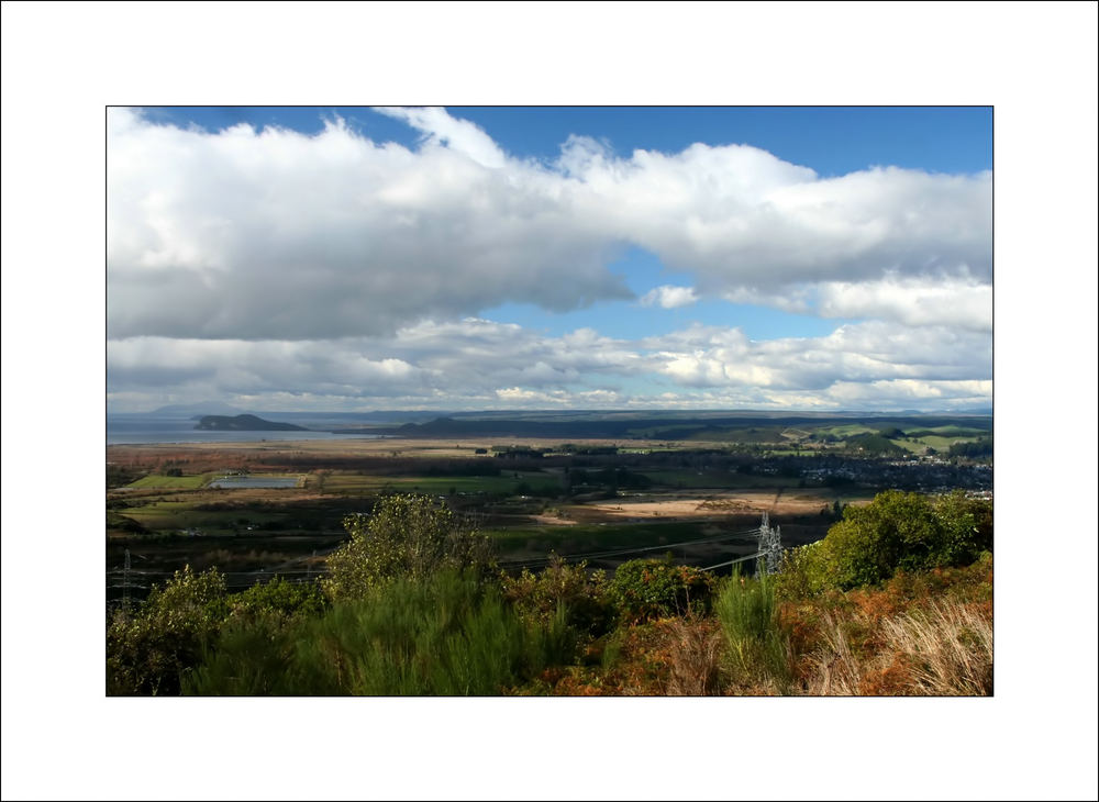 The lookout