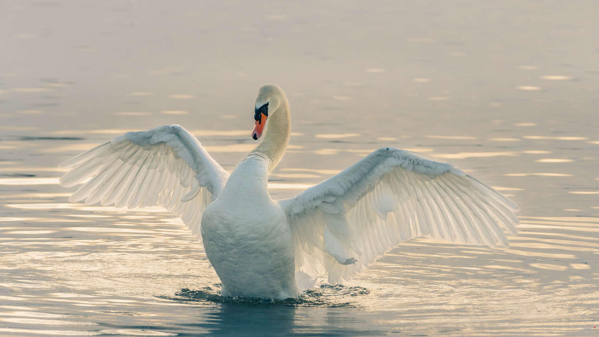 The Lord of the Lake