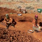 ** The Lords of the Flies / Mud Tank Zircon Fields ** 