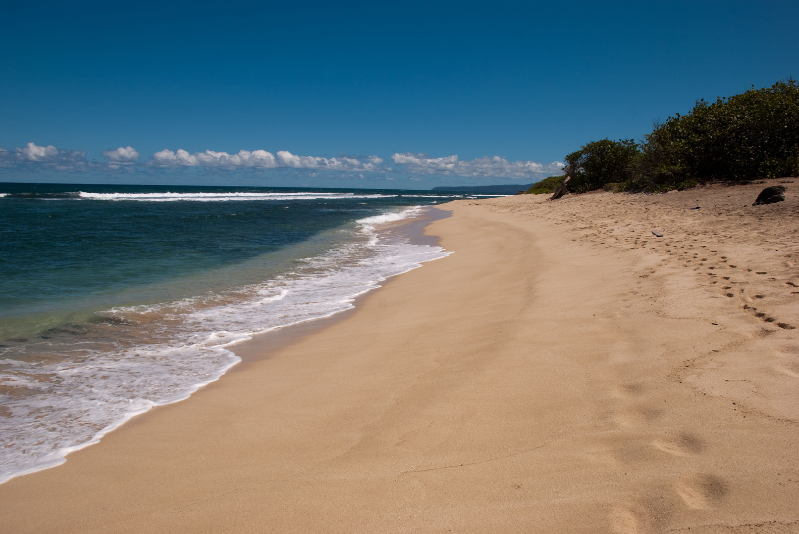 The Lost Beach