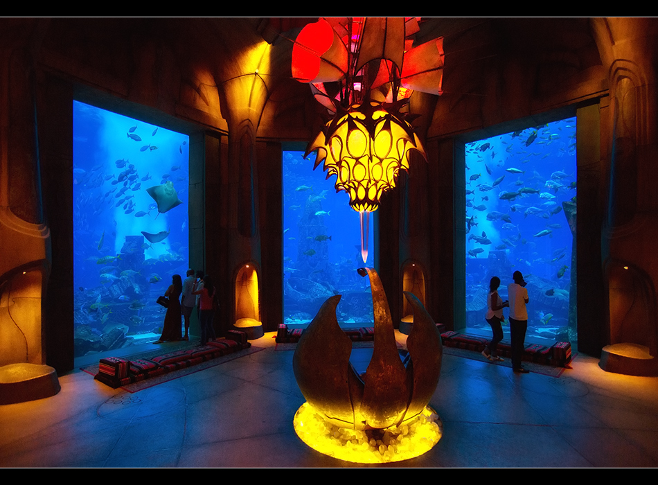 The lost chambers aquarium 17