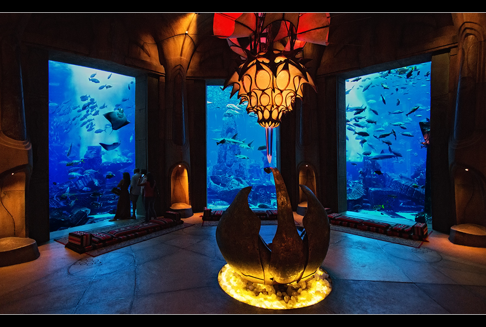 The lost chambers aquarium 18